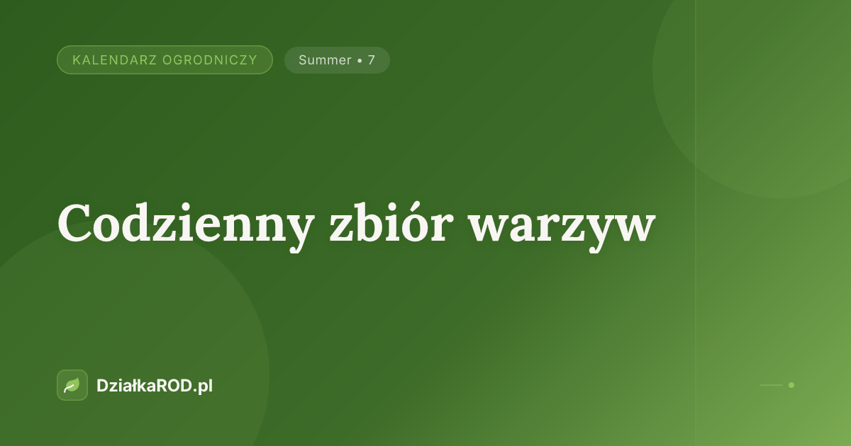 Codzienny zbiór warzyw