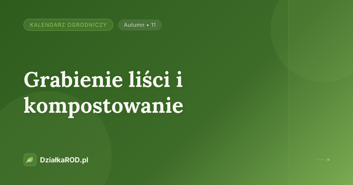 Grabienie liści i kompostowanie