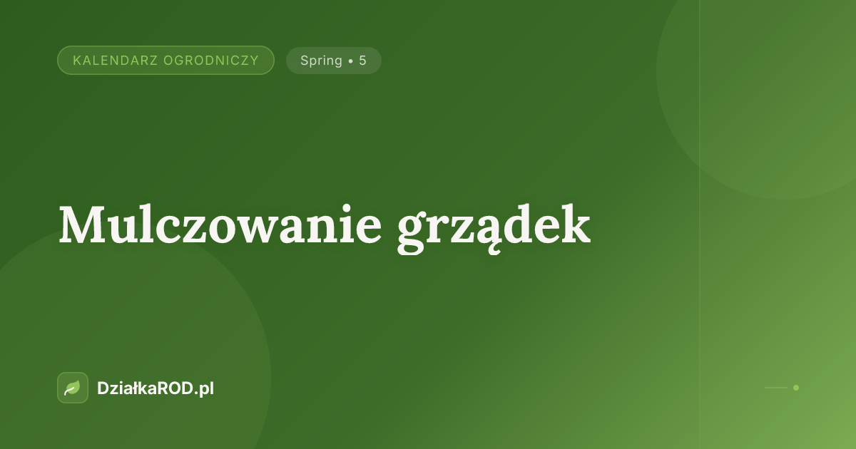 Mulczowanie grządek