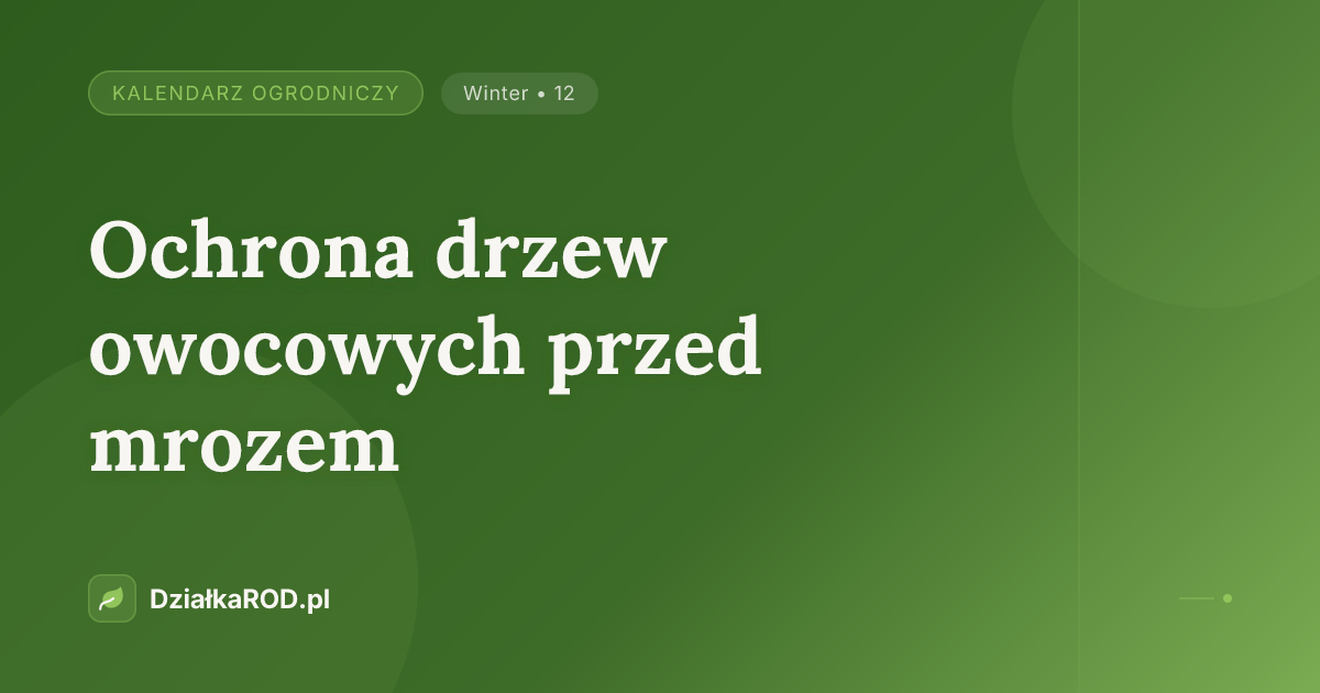 Ochrona drzew owocowych przed mrozem