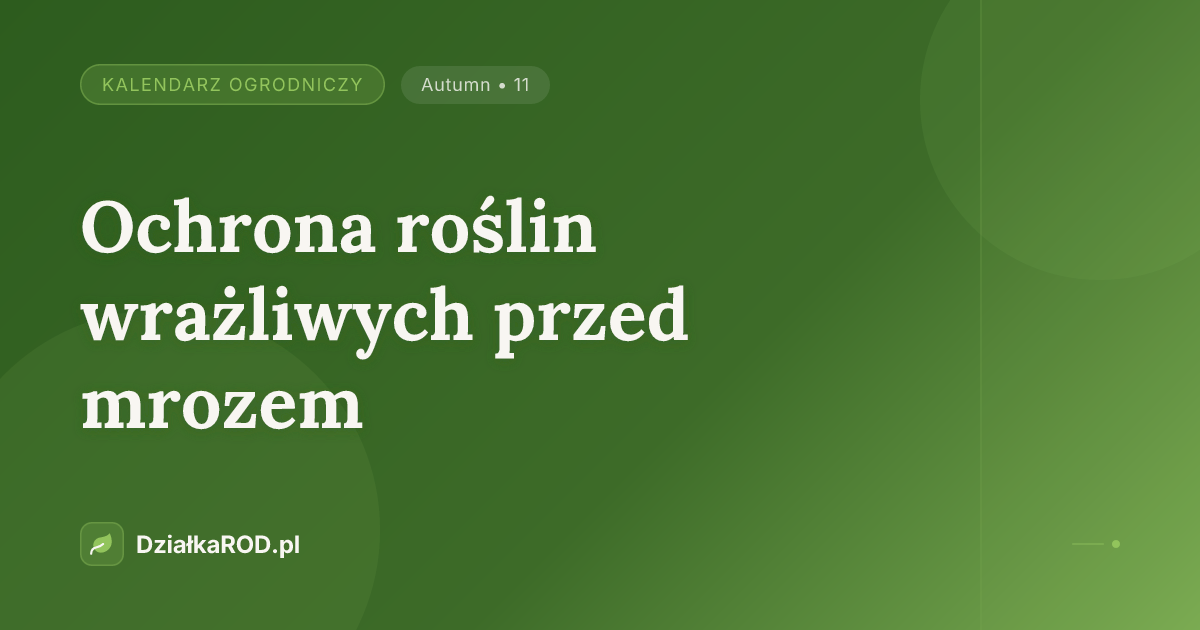 Ochrona roślin wrażliwych przed mrozem