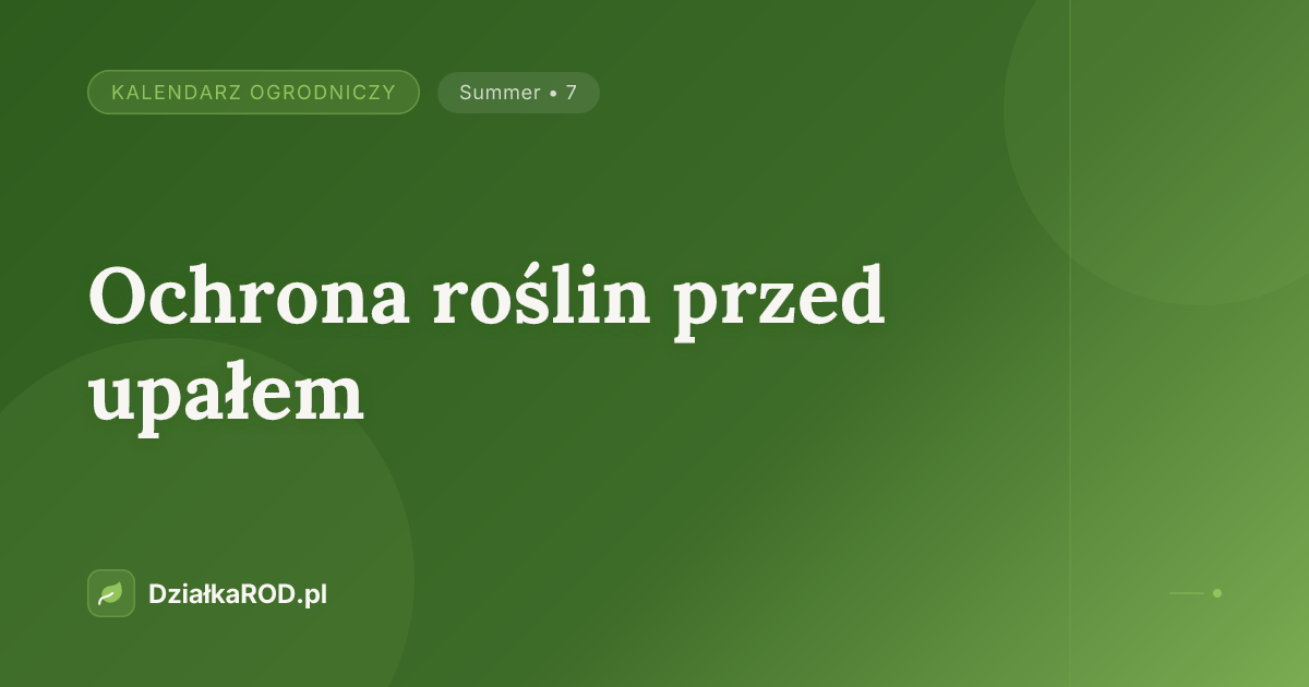 Ochrona roślin przed upałem