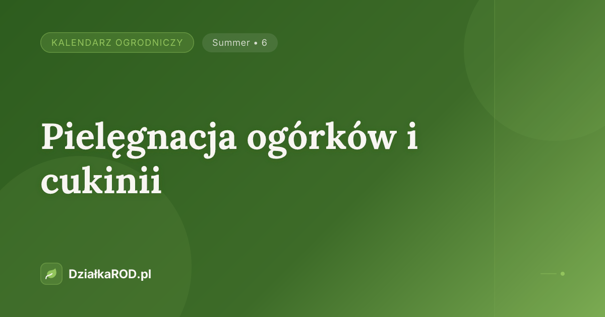 Pielęgnacja ogórków i cukinii