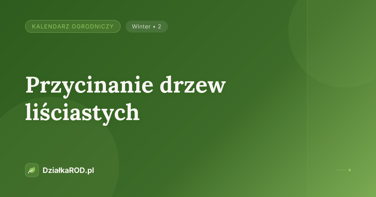 Przycinanie drzew liściastych