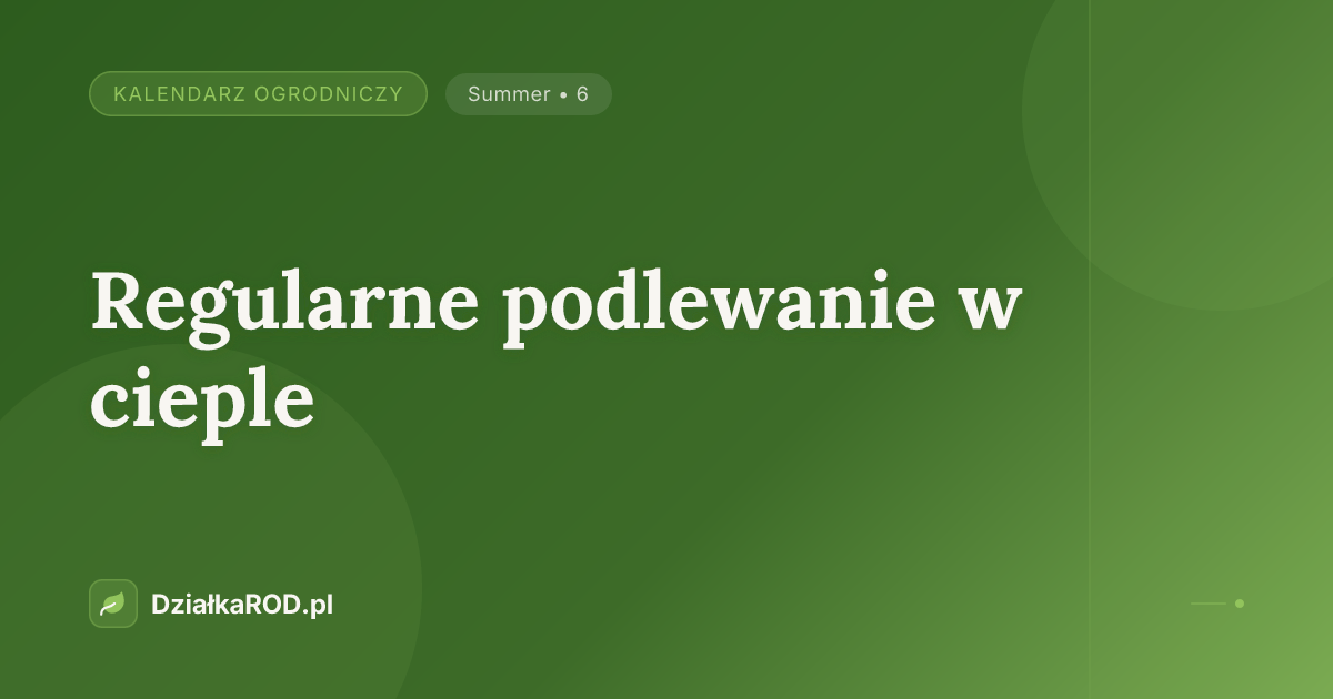 Regularne podlewanie w cieple