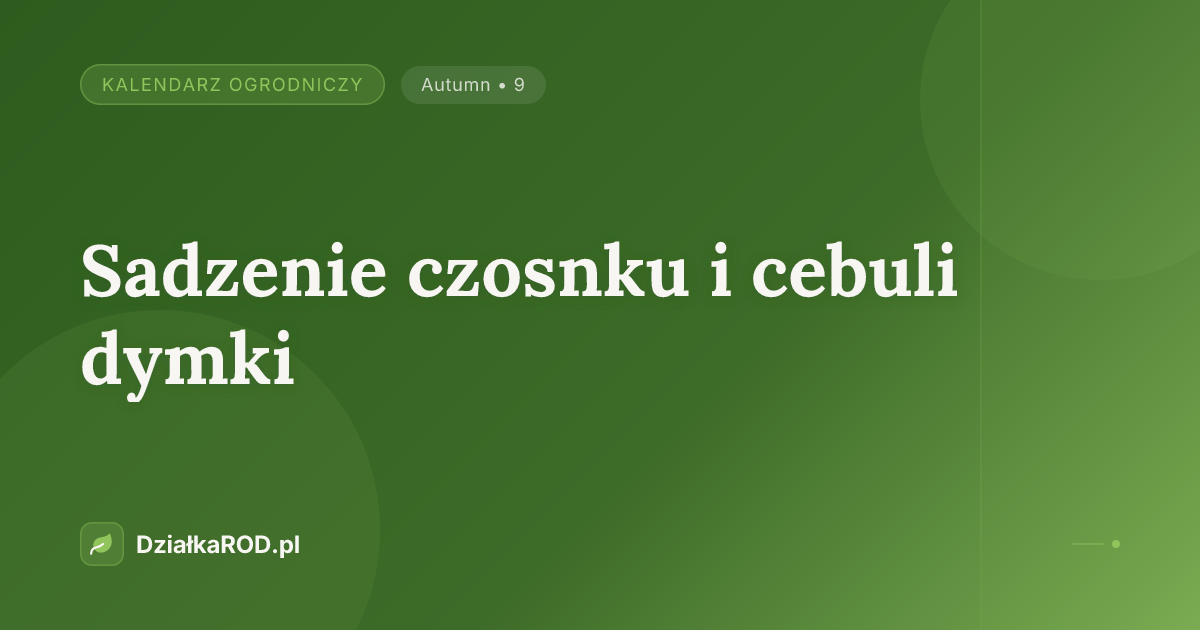 Sadzenie czosnku i cebuli dymki