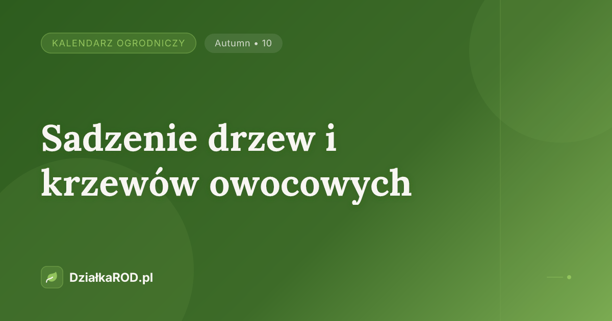 Sadzenie drzew i krzewów owocowych