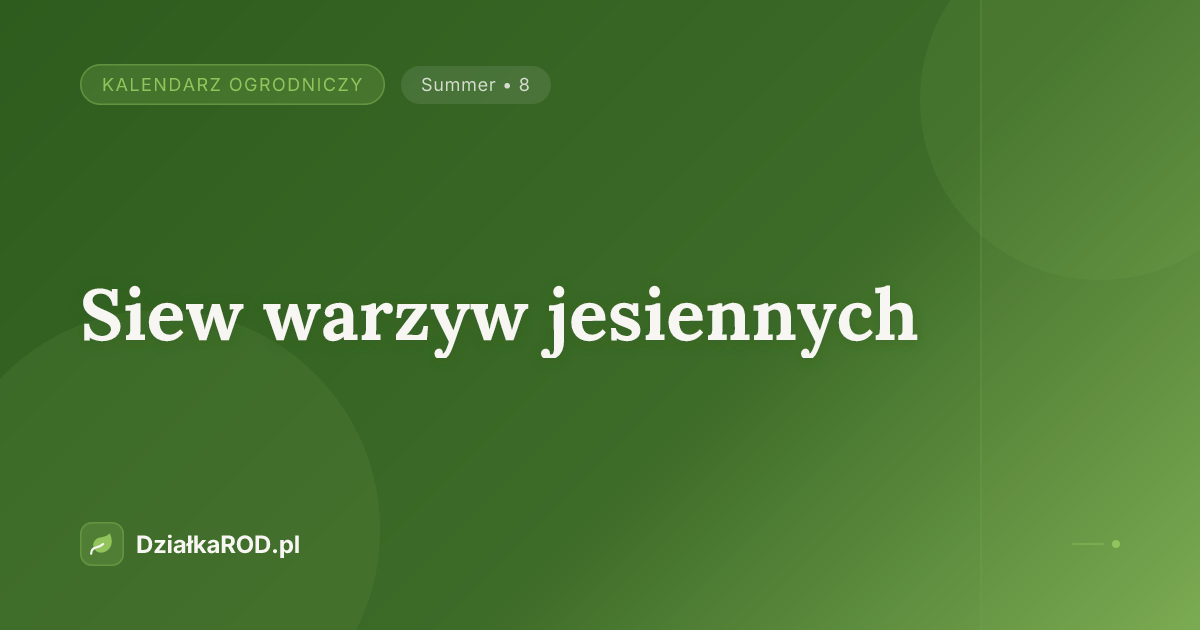 Siew warzyw jesiennych