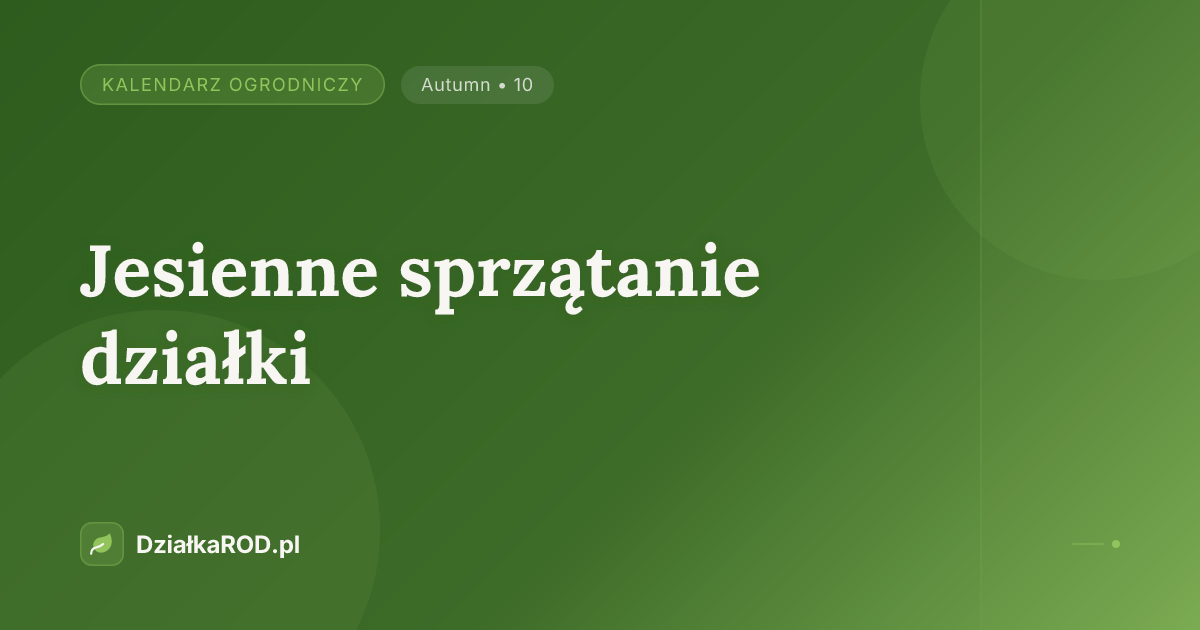 Jesienne sprzątanie działki